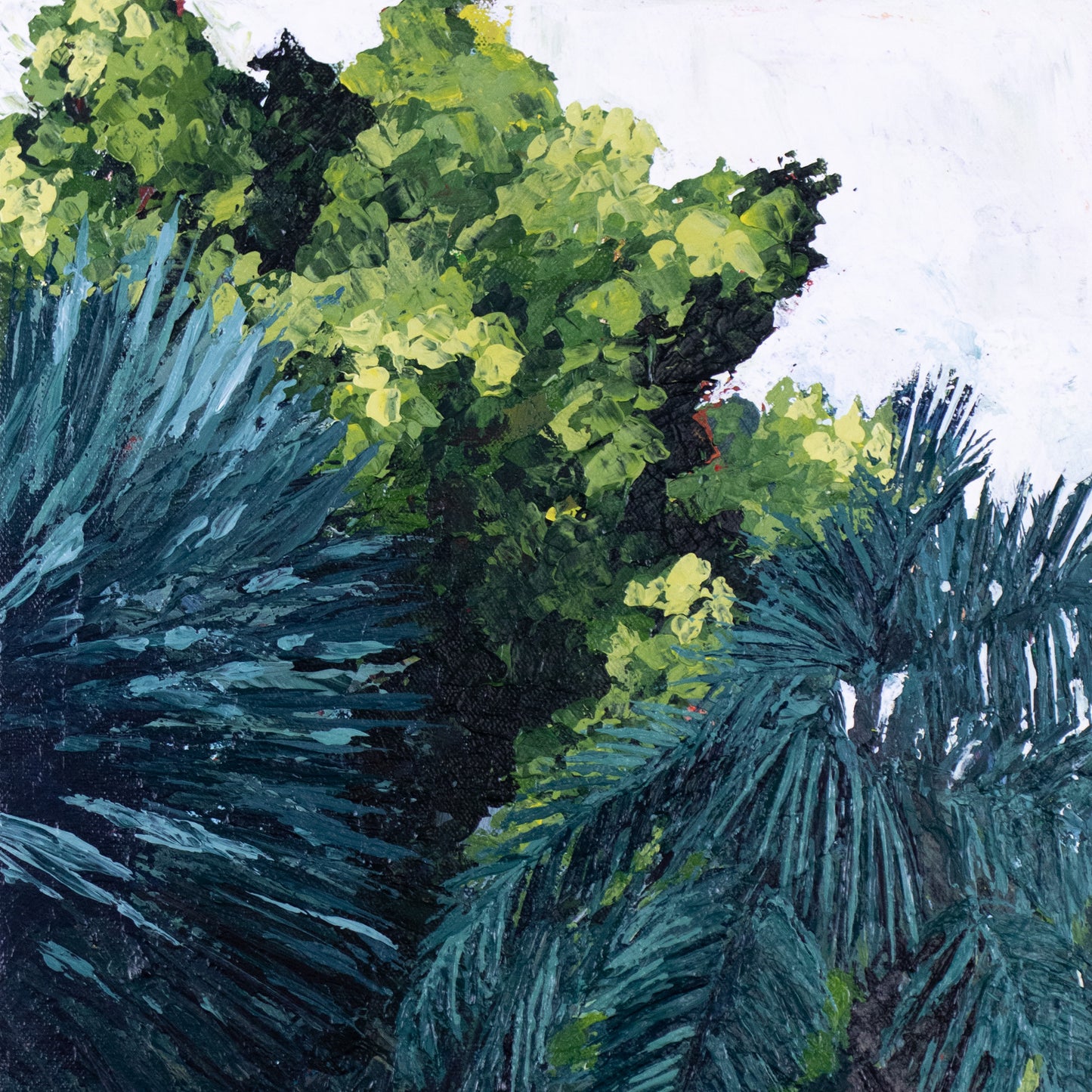 SoCal Gardens Triptych